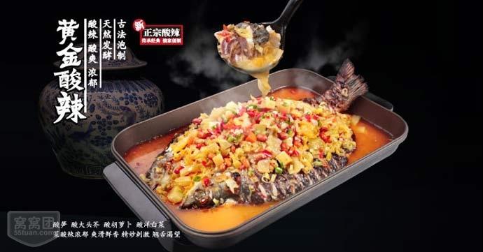 魚(yú)酷